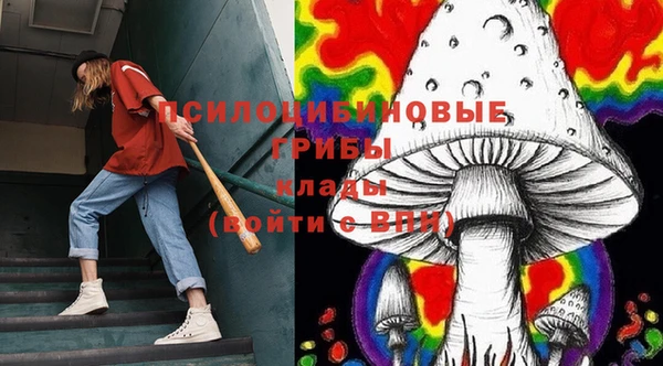 мяу мяу мука Медвежьегорск