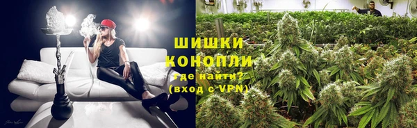дурь Мегион
