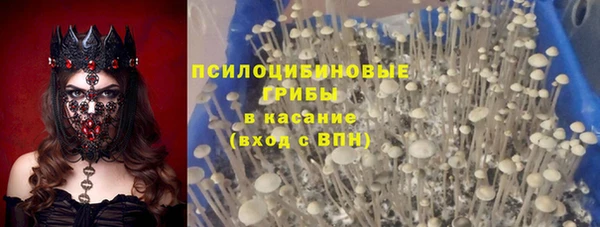 эйфоретик Медногорск