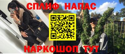 jwh Бийск