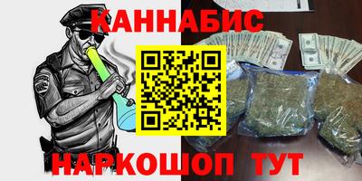 jwh Бийск