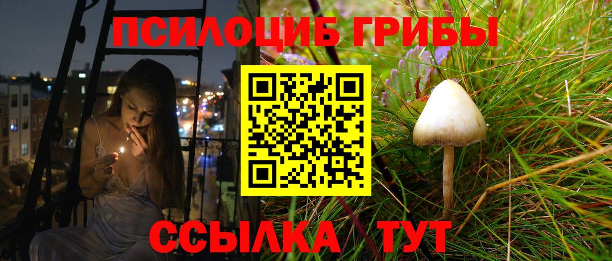 Псилоцибиновые грибы Psilocybine cubensis Гагарин