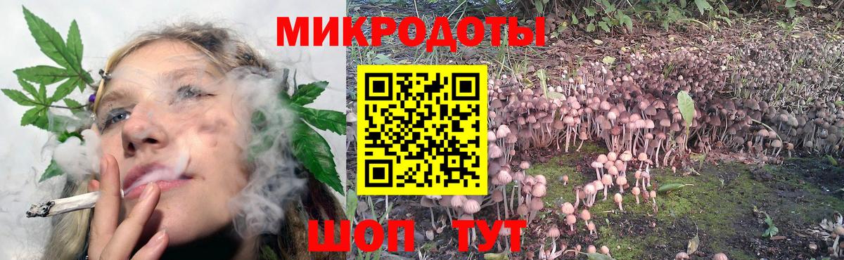 Галлюциногенные грибы Psilocybine cubensis Гагарин
