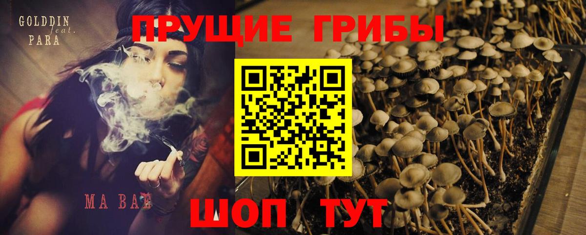 Псилоцибиновые грибы Psilocybe  купить наркотик  Галлюциногенные грибы Magic Shrooms  Гагарин  Вход с VPN 