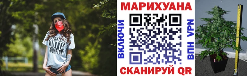 Канабис планчик  сайты даркнета состав  Гагарин 